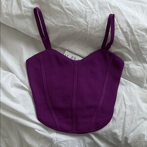 Aritzia Babaton 2xs Purple Corset Top